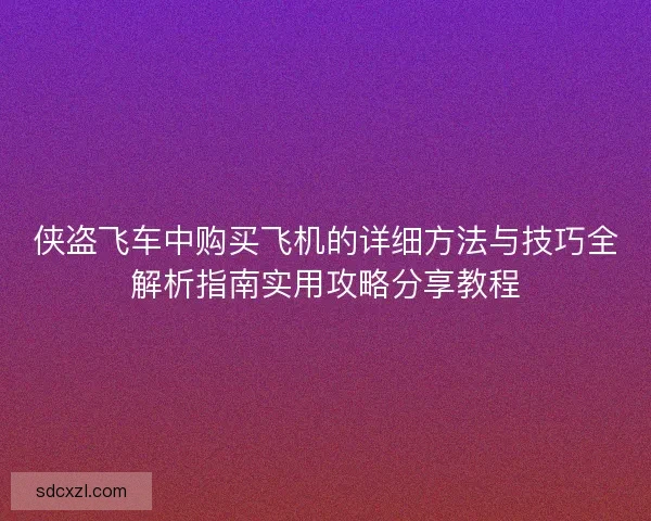 侠盗飞车中购买飞机的详细方法与技巧全解析指南实用攻略分享教程
