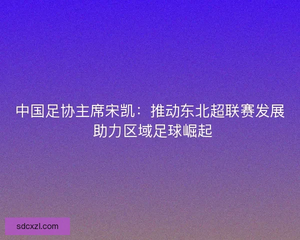 中国足协主席宋凯:推动东北超联赛发展 助力区域足球崛起 中国足协主席宋凯:推动东北超联赛发展 助力区域足球崛起