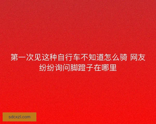 第一次见这种自行车不知道怎么骑 网友纷纷询问脚蹬子在哪里